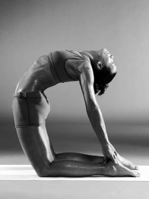 22.-Camel-Pose-4-Marcia-Monroe-Merchant